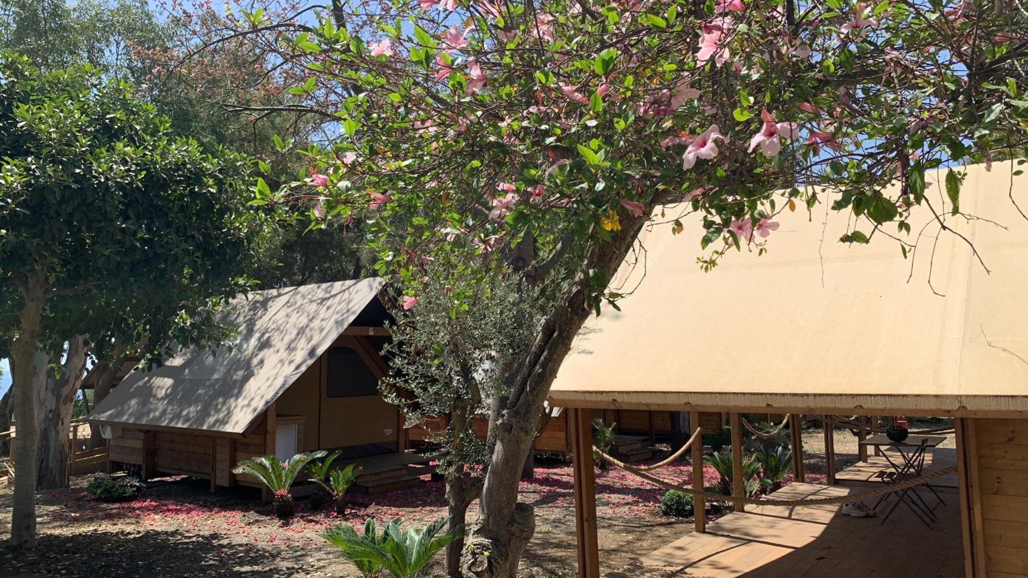 Il Pampaleone Glamping And Resort Acireale Bagian luar foto